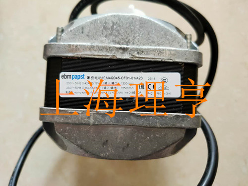 M4Q045-CF01-01/A23電機(jī)